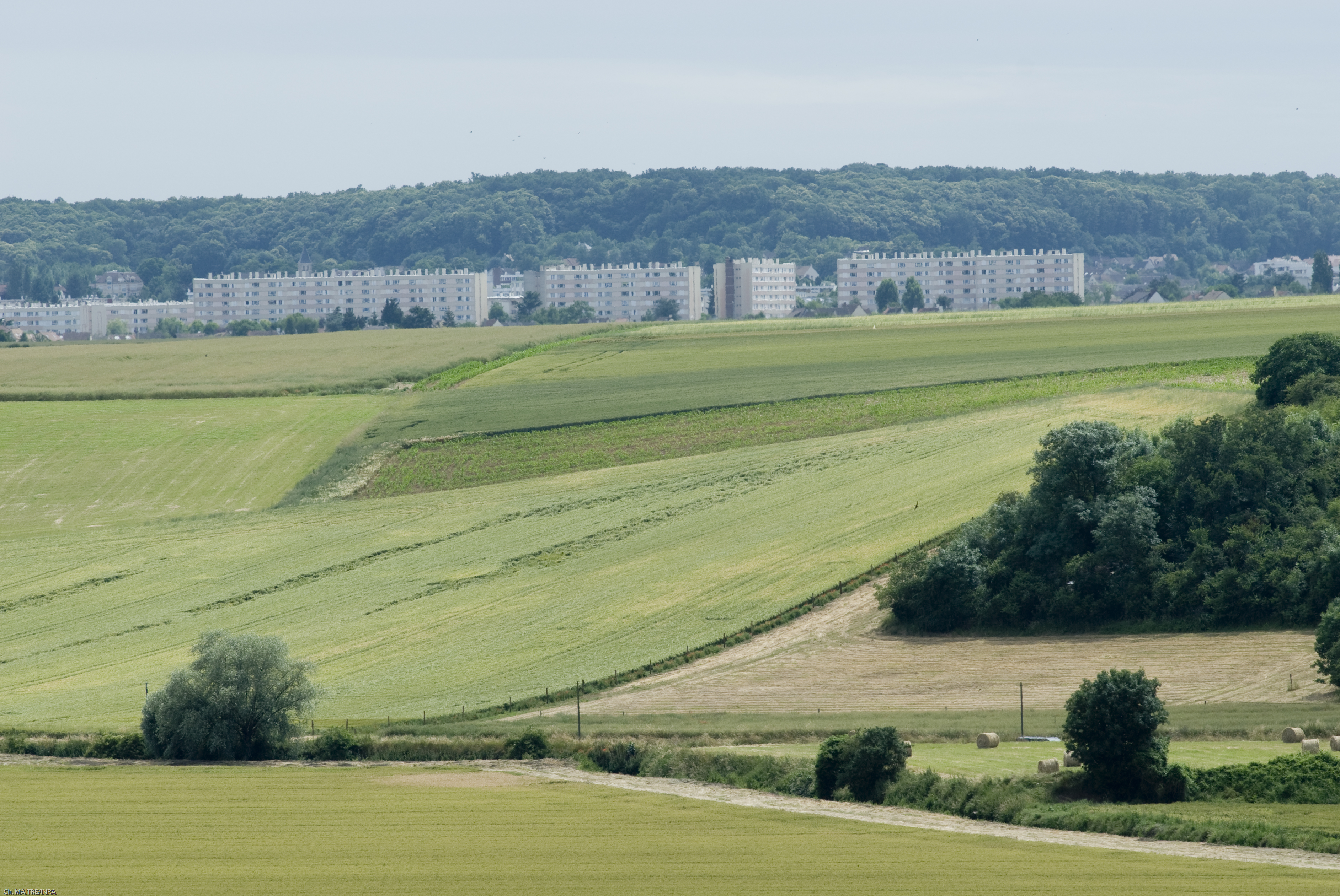 Exposition des riverains aux pesticides : quelle proximité des zones agricoles et des habitations en France ?